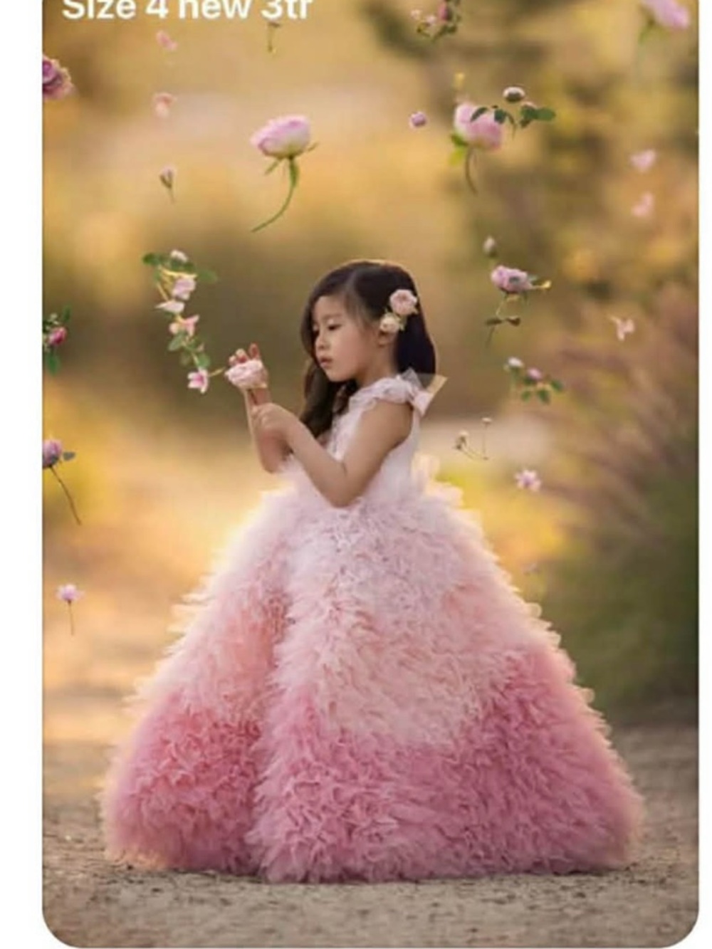 dollcake couture dress nwt sz 4